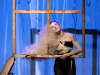 mutphoto__barbara_braun_n9783_20x30